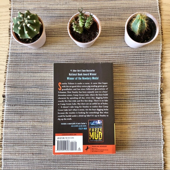 Holes By Louis Sachar - Picture 3 of 7